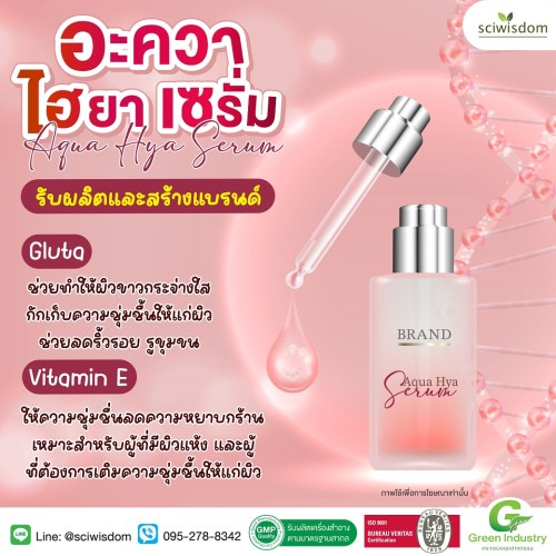 อะควา ไฮยา เซรั่ม ( Aqua Hya Serum) 30g. A M