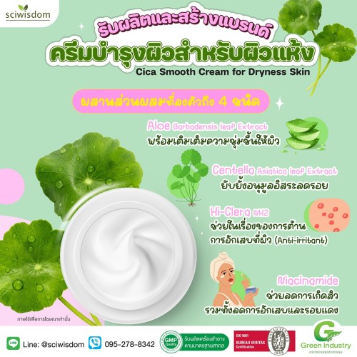 ซิก้าสมูทครีม  Cica Smooth Cream for Dryness Skin 30g. A M