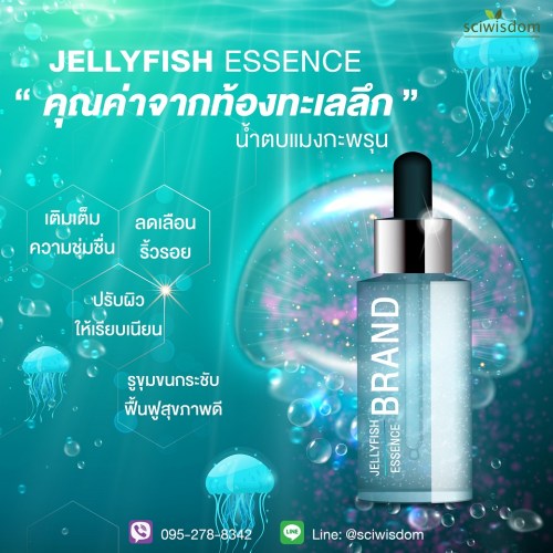 Jellyfish-Essence-U1-20220414