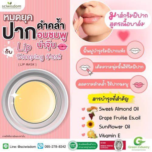 มาส์กริมฝีปาก สูตรเนื้อบาล์ม (Lip Sleeping Mask )10g. A M