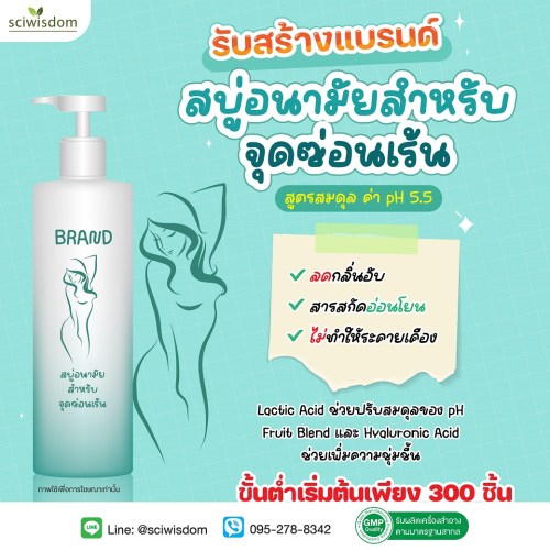 สบู่วิปโฟมทำความสะอาดจุดซ่อนเร้นสตรี (พีเอชบาลานซ์)  (Lady Care Faminine Whip Foam Soap (pH-Balanced))   300g. A M