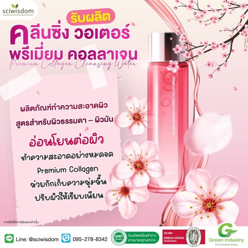 คลีนซิ่ง วอเตอร์ พรีเมี่ยม คอลลาเจน  (Premium Collagen Cleansing Water) 100g. A M