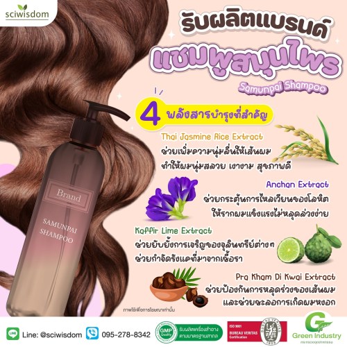 สมุนไพร แชมพู   (Samunpai Shampoo) 200g. A M