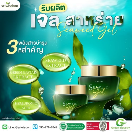 เจล สาหร่าย  (Seaweed Gel) 30g. A M