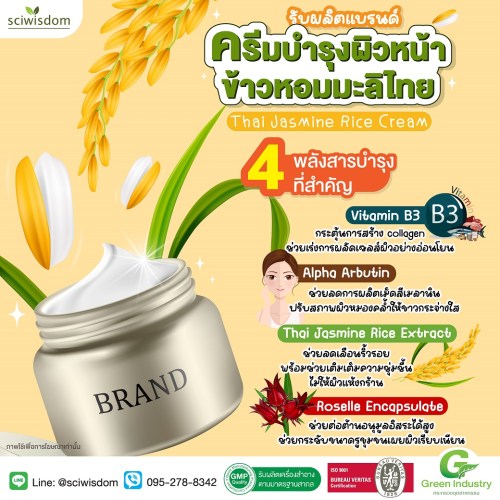 ครีมกลางคืน ข้าวหอมมะลิไทย  (Thai Jasmine Rice Night Cream) 30g. A M